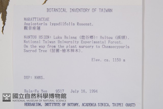 觀音座蓮藏品圖，第2張