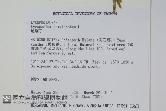 地刷子藏品圖，第2張