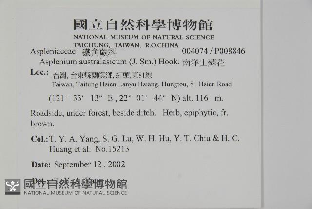 Accession Number:P008846 Collection Image, Figure 2, Total 4 Figures