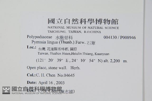 石葦藏品圖，第2張