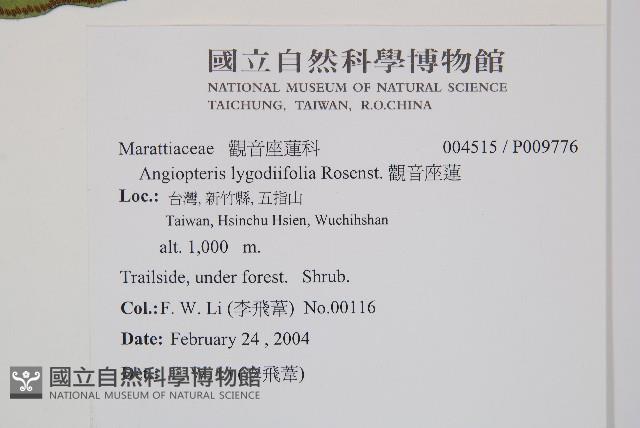 觀音座蓮藏品圖，第2張