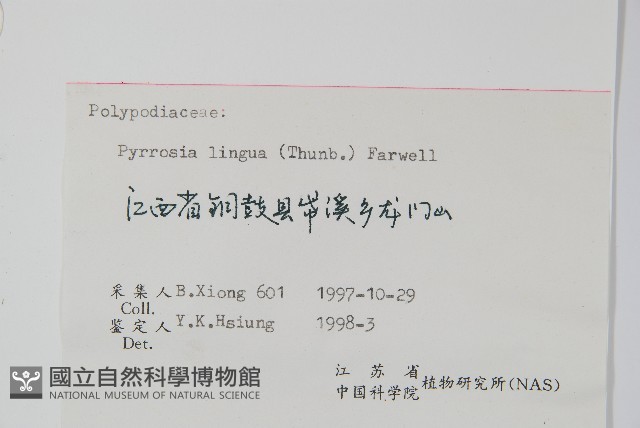 石葦藏品圖，第2張