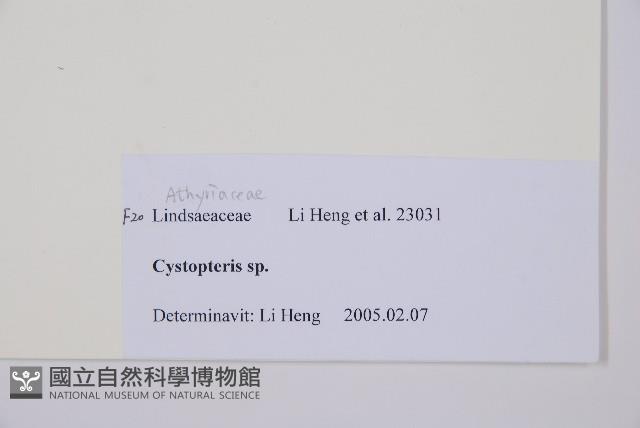 登錄號:P010786藏品圖，第3張