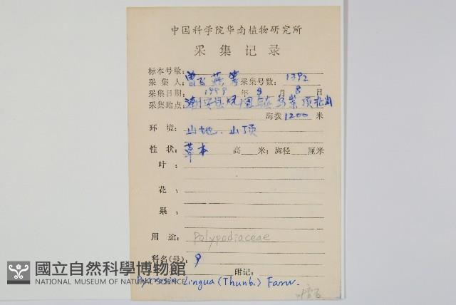 石葦藏品圖，第2張