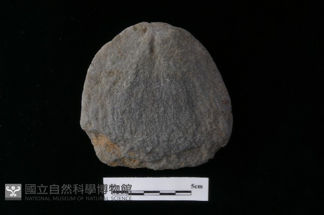 石片器藏品圖，第3張