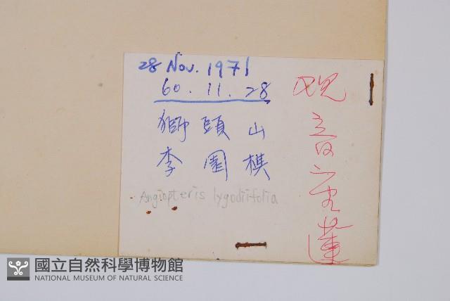 觀音座蓮藏品圖，第2張