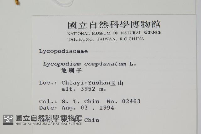 地刷子藏品圖，第2張