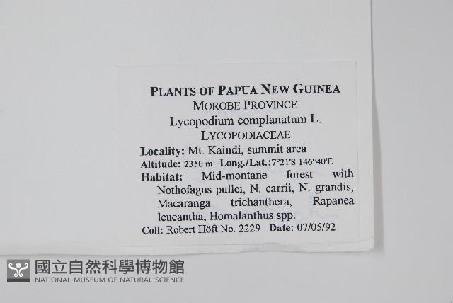 地刷子藏品圖，第2張