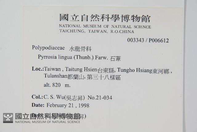 石葦藏品圖，第2張