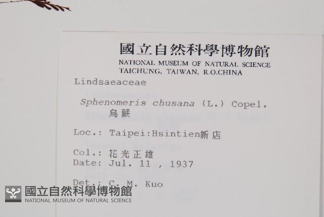 烏蕨藏品圖，第2張