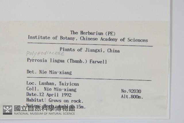 石葦藏品圖，第2張