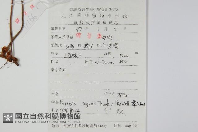 石葦藏品圖，第2張