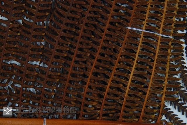 登錄號:P009762藏品圖，第6張