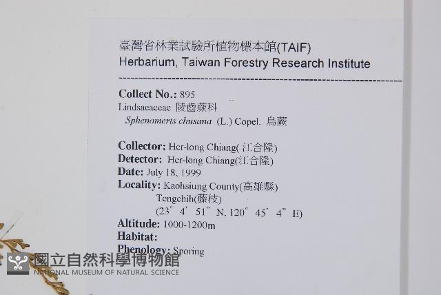 烏蕨藏品圖，第2張