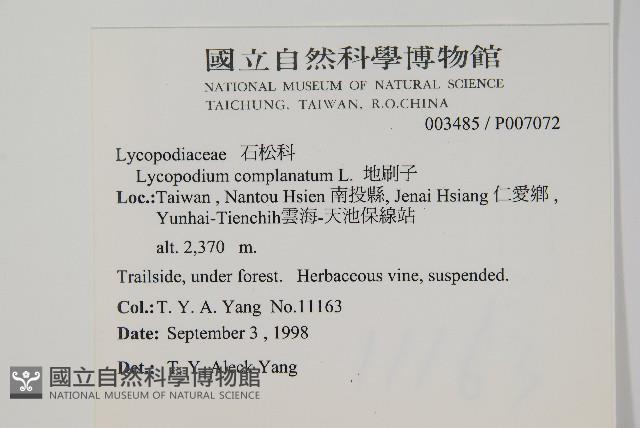 地刷子藏品圖，第2張