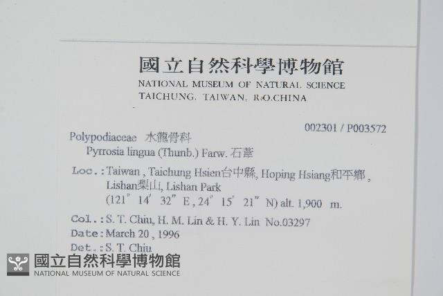 石葦藏品圖，第2張