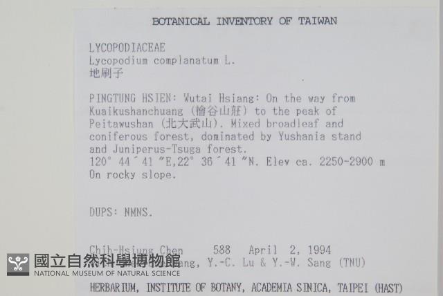 地刷子藏品圖，第2張