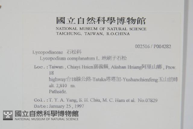 地刷子藏品圖，第2張