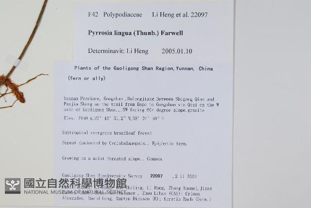 石葦藏品圖，第2張