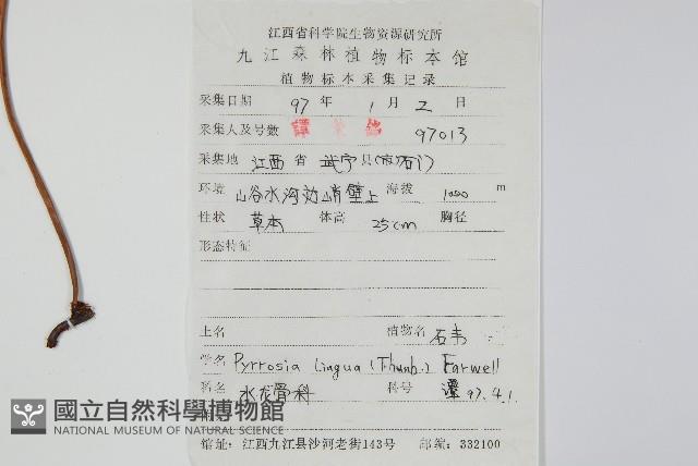 石葦藏品圖，第2張