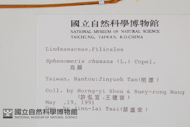 烏蕨藏品圖，第2張