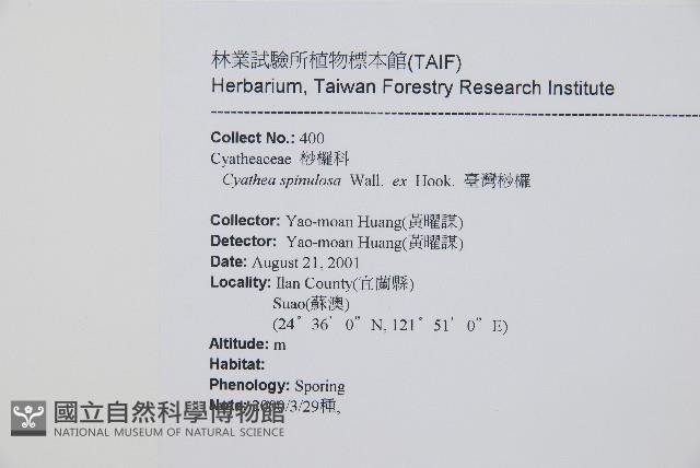 台灣桫欏藏品圖，第2張