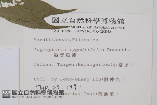 觀音座蓮藏品圖，第2張