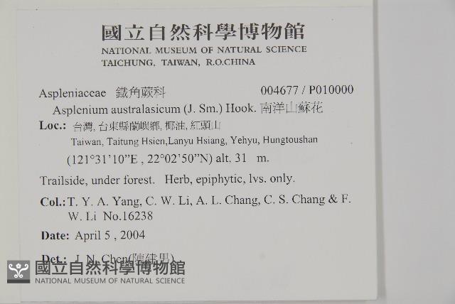 Accession Number:P010000 Collection Image, Figure 2, Total 4 Figures