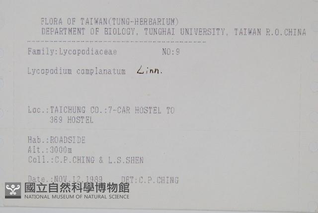 地刷子藏品圖，第2張