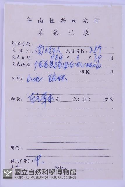 生芽鐵角蕨藏品圖，第3張