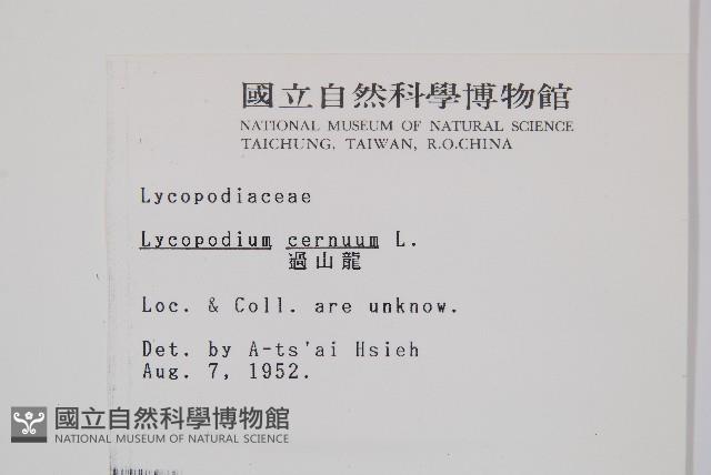 過山龍藏品圖，第2張