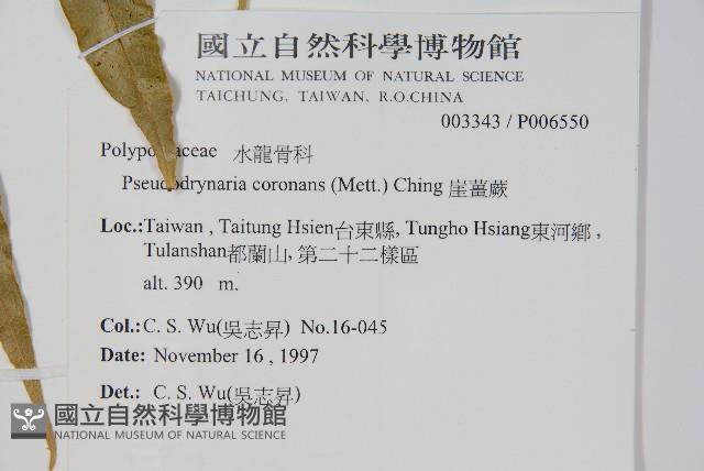 Accession Number:P006550 Collection Image, Figure 2, Total 2 Figures