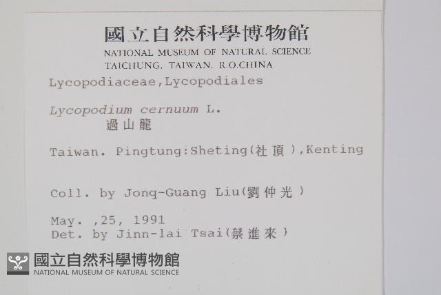 過山龍藏品圖，第1張