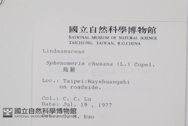 烏蕨藏品圖，第2張