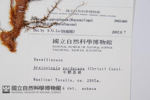 Accession Number:P001460 Collection Image, Figure 2, Total 5 Figures