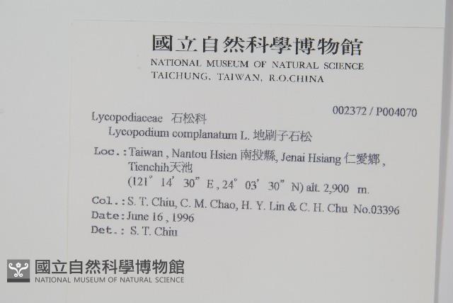 地刷子藏品圖，第2張