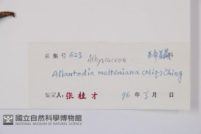 Accession Number:P005180 Collection Image, Figure 3, Total 6 Figures