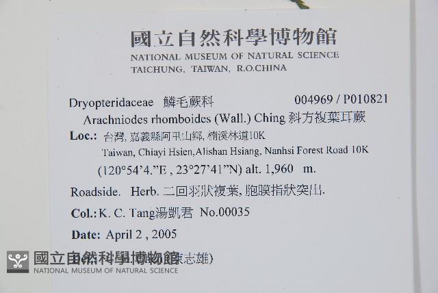 Accession Number:P010821 Collection Image, Figure 2, Total 5 Figures