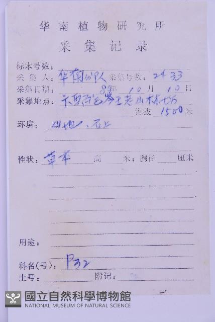 生芽鐵角蕨藏品圖，第3張