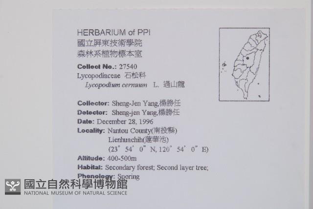 過山龍藏品圖，第2張