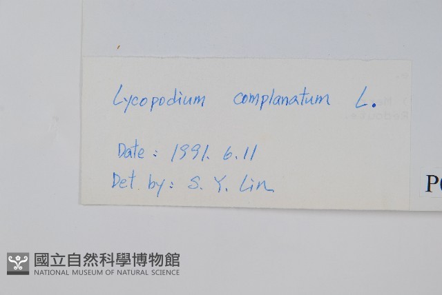 地刷子藏品圖，第2張