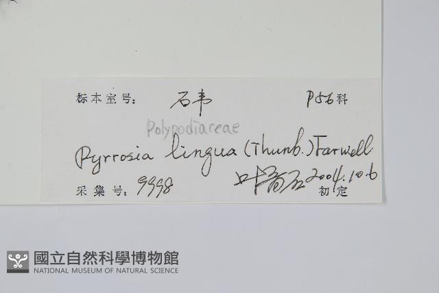 石葦藏品圖，第2張