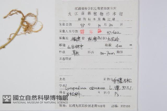 過山龍藏品圖，第2張