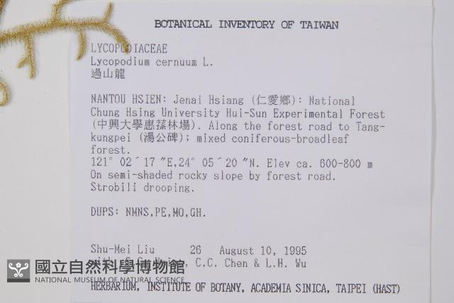 過山龍藏品圖，第2張