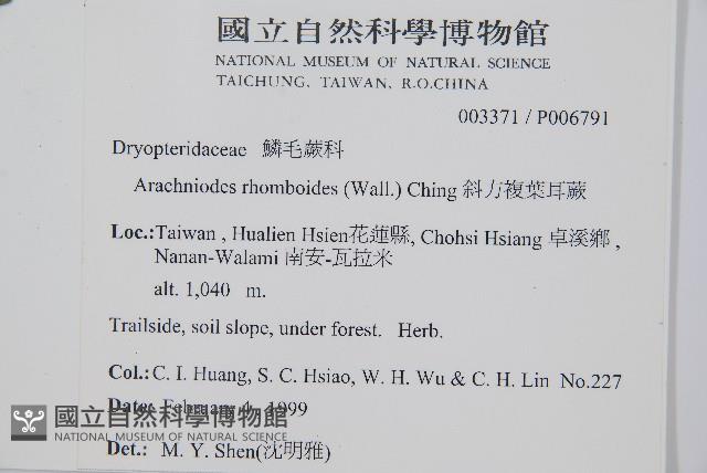 Accession Number:P006791 Collection Image, Figure 2, Total 5 Figures