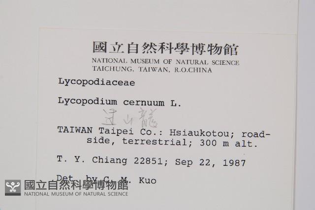 過山龍藏品圖，第2張