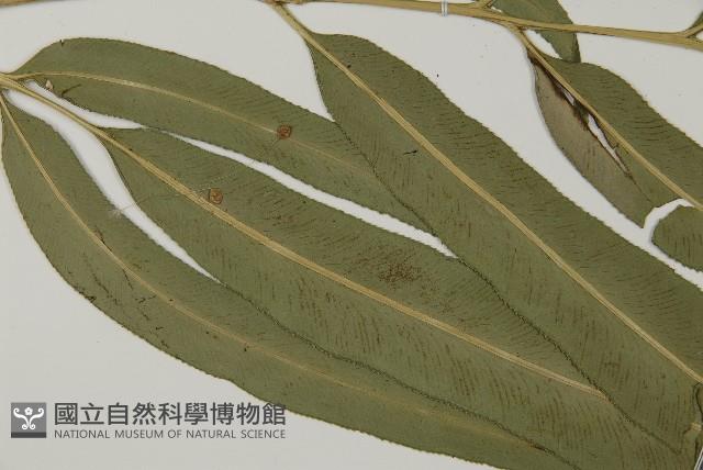 Accession Number:P011541 Collection Image, Figure 3, Total 9 Figures