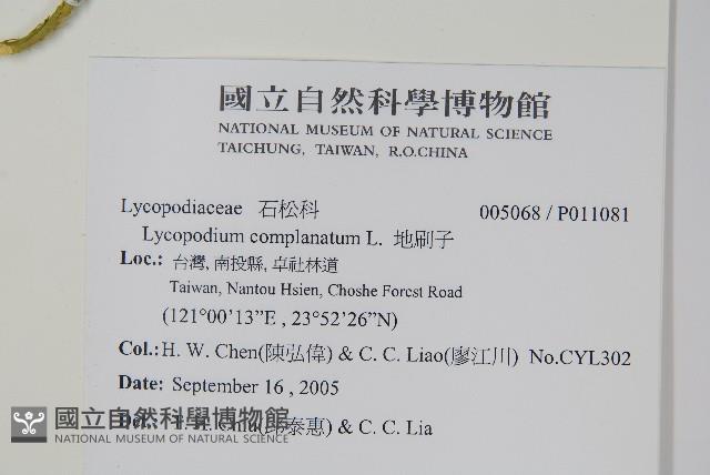 地刷子藏品圖，第2張