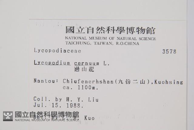 過山龍藏品圖，第2張