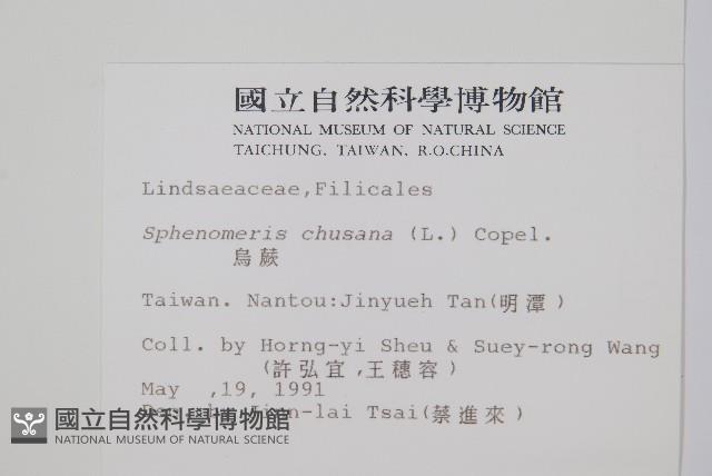 Accession Number:P002525 Collection Image, Figure 2, Total 2 Figures